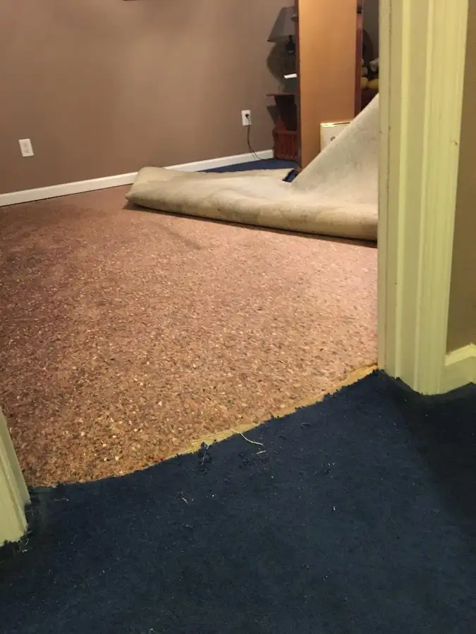 Carpet pad removal revealing water damage during Water Mitigation Services in Natick