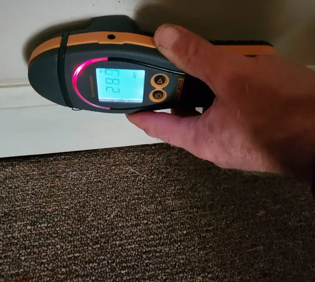 Moisture detection at baseboard during Sewage Cleanup & Sanitation in Natick